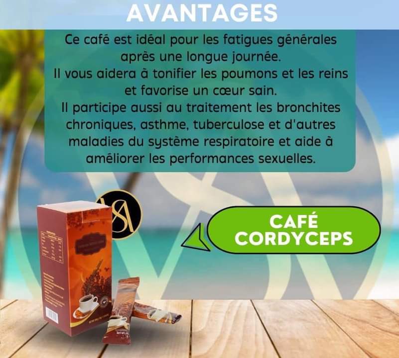 CAFÉ CORDYCEPS